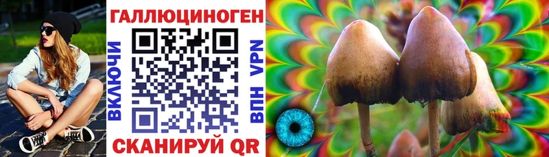 блэк спрут как войти  Кемь  Галлюциногенные грибы MAGIC MUSHROOMS 